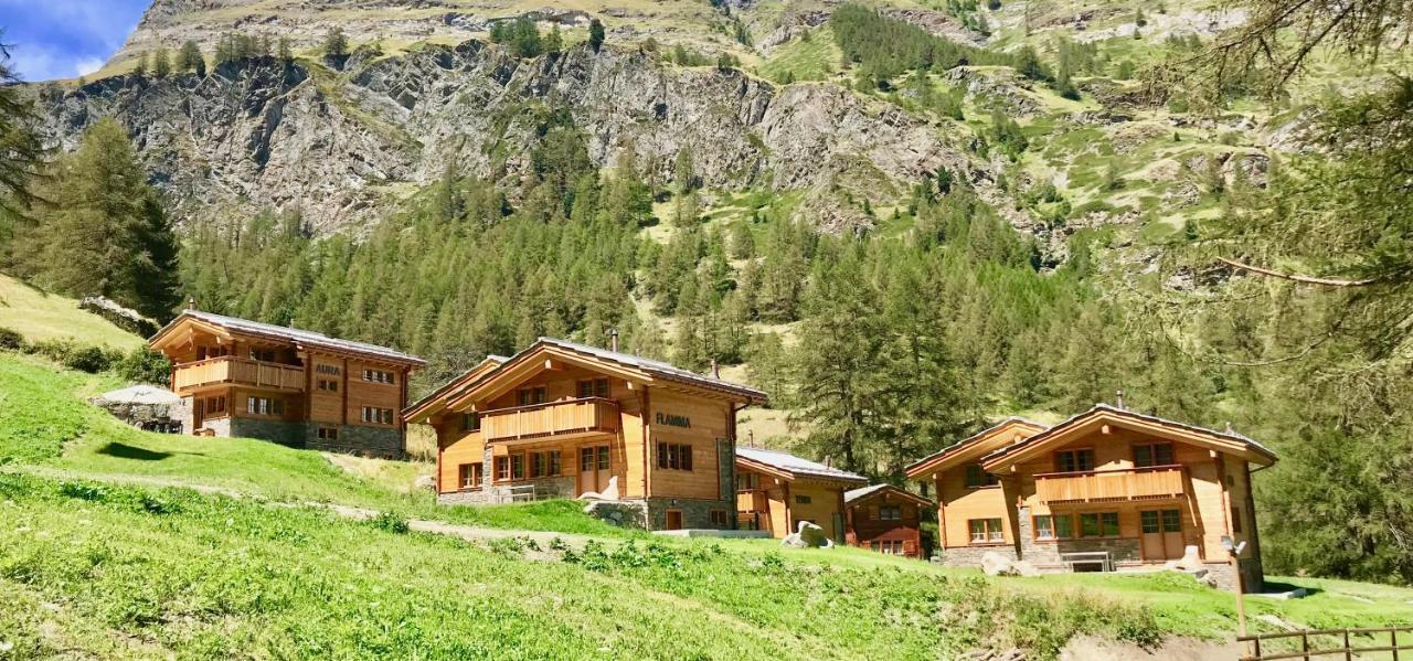Element Chalets Церматт Экстерьер фото